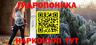 индика Донской