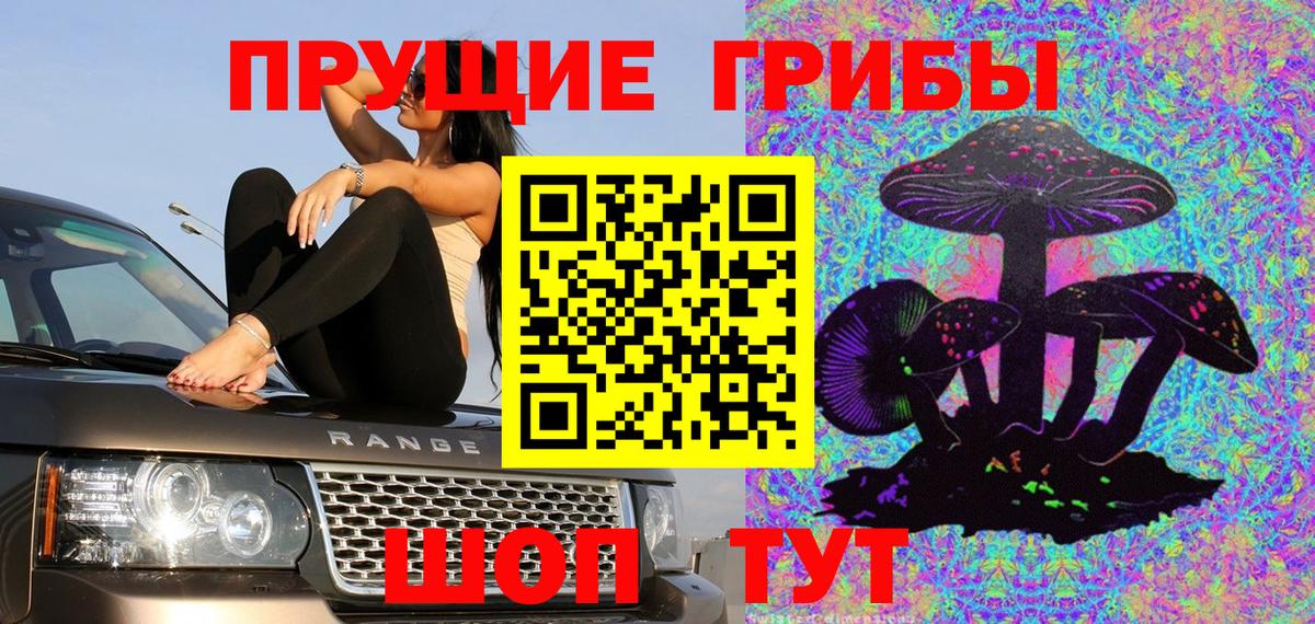 Галлюциногенные грибы Psilocybe  Вход с VPN  Кунгур  Псилоцибиновые грибы GOLDEN TEACHER 
