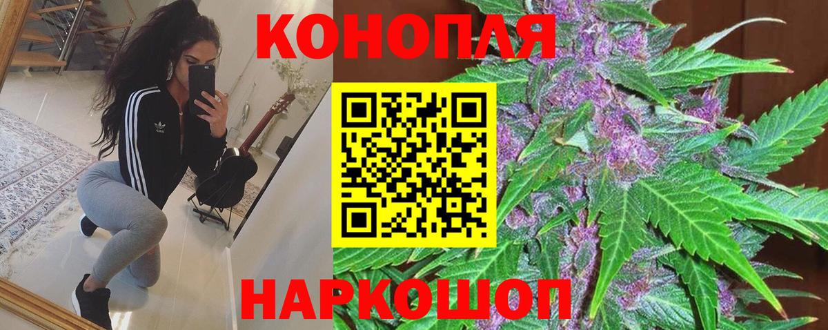 Марихуана семена Кунгур